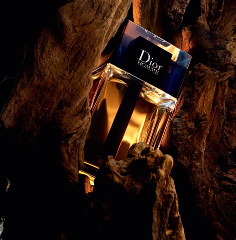 dior frühjahr 2020|Dior cologne 2020.